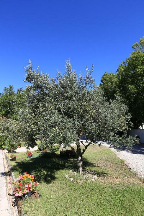 Le Mas Du Vieux Chene Saint-Paul-en-Forêt المظهر الخارجي الصورة
